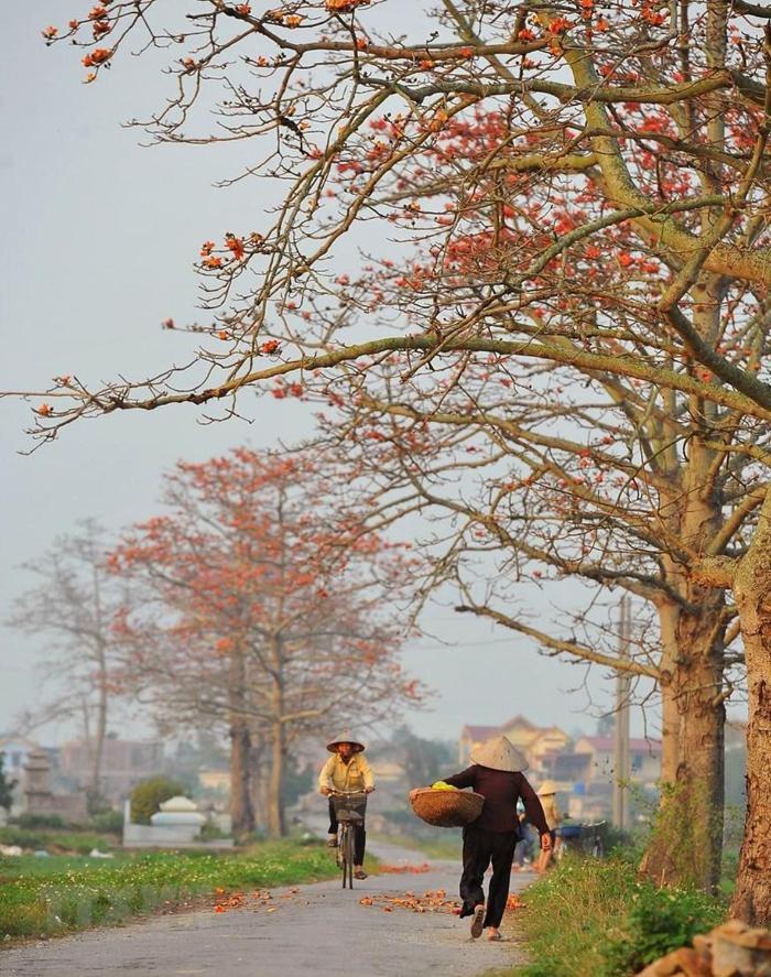 Apartmán Nha Nghi Bolero Van Lam Exteriér fotografie